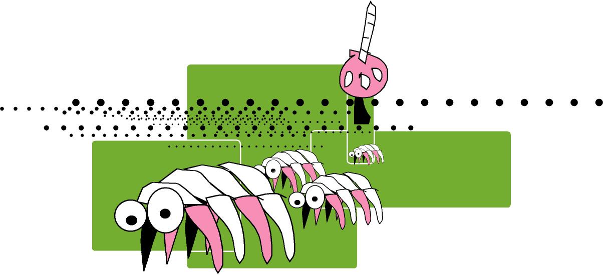 crabs
